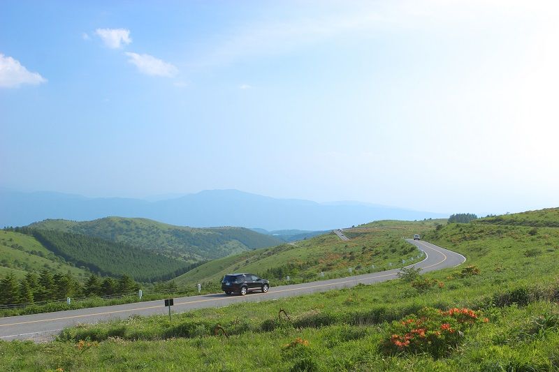 信州維納斯路線