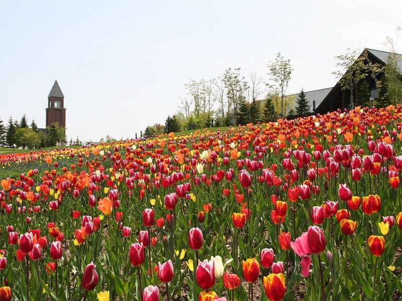 國營瀧野鈴蘭丘陵公園