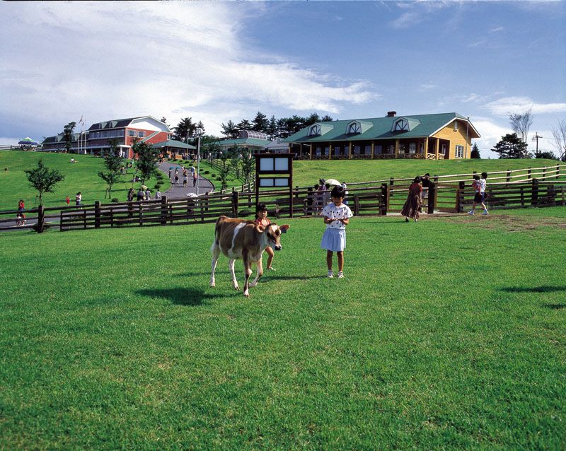 Takachiho Farm