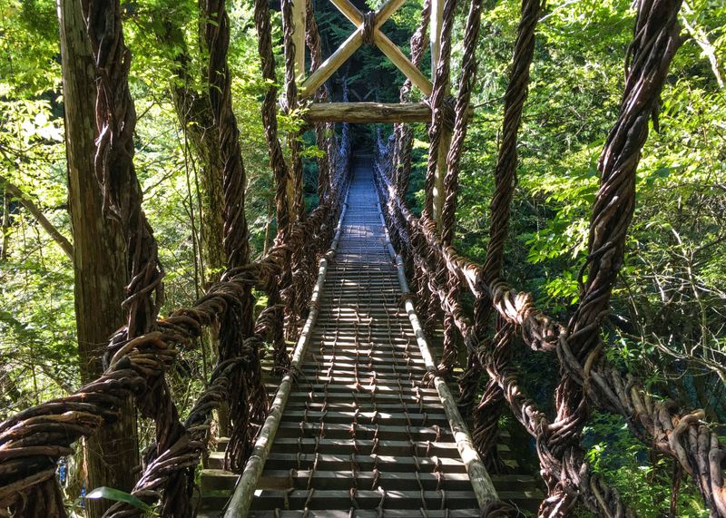 Okuiya Double Kazura Bridge