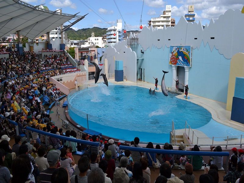神戸市立須磨海濱水族園