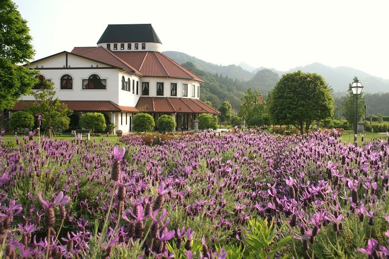 Towel Museum Ichihiro