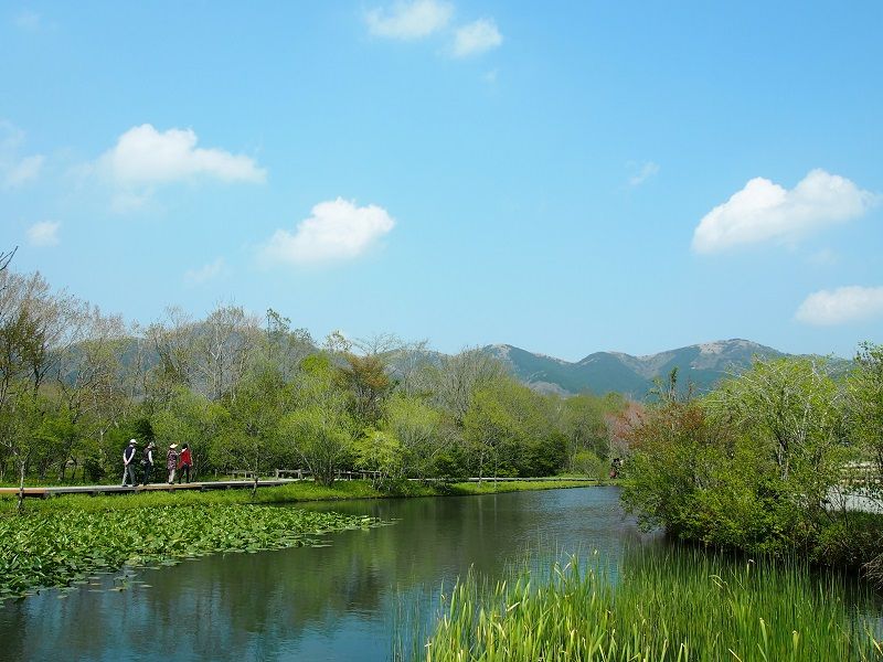 箱根濕生花園