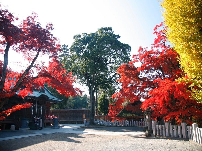 少林山達摩寺