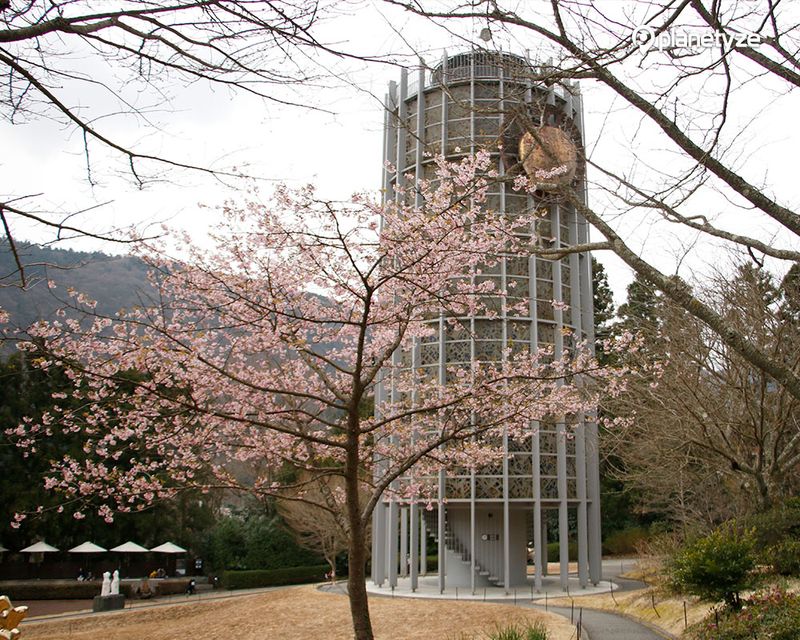 The Hakone Open-Air Museum