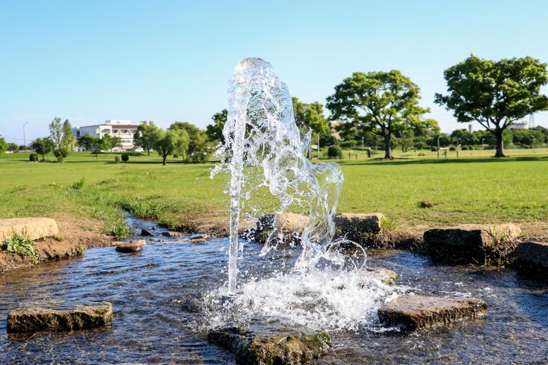 水前寺江津湖公園