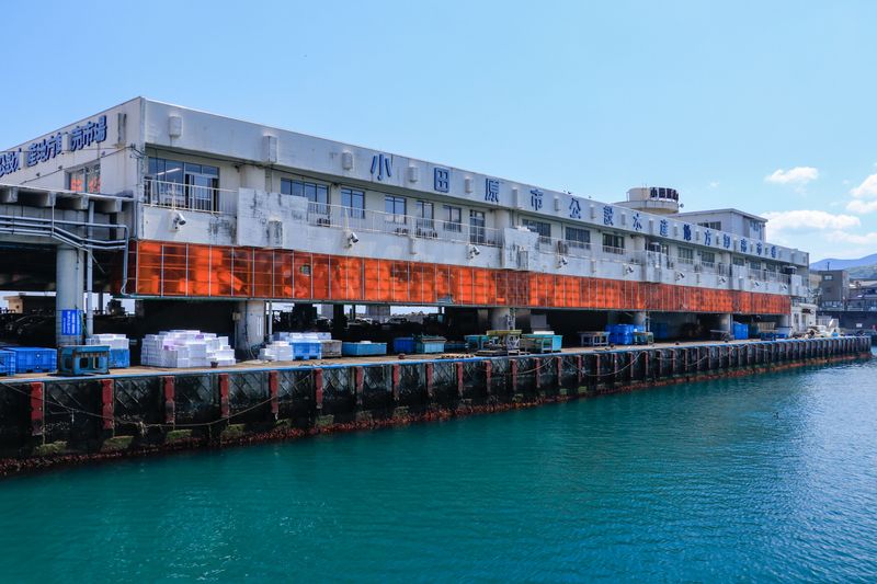 Odawara Fishing Port