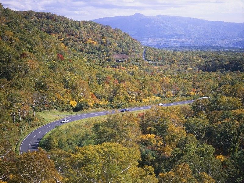Niseko Panorama Line