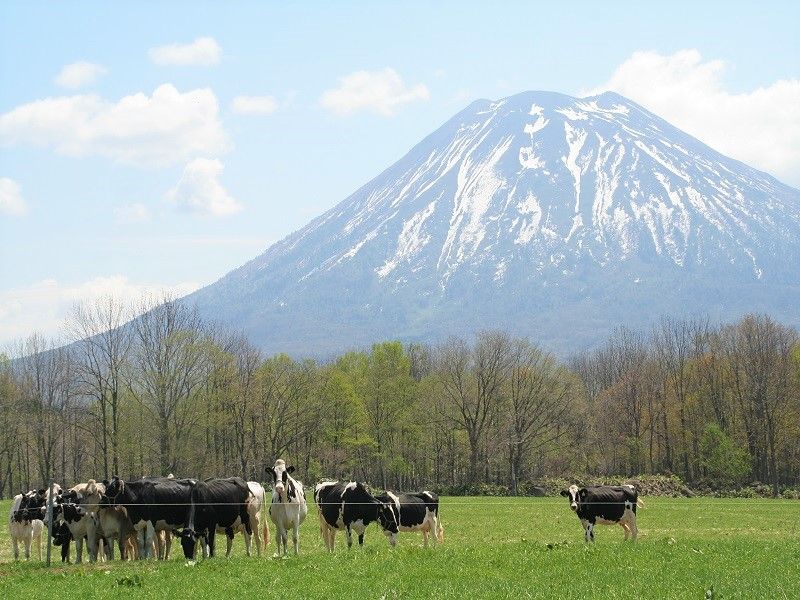 Niseko Takahashi Farm