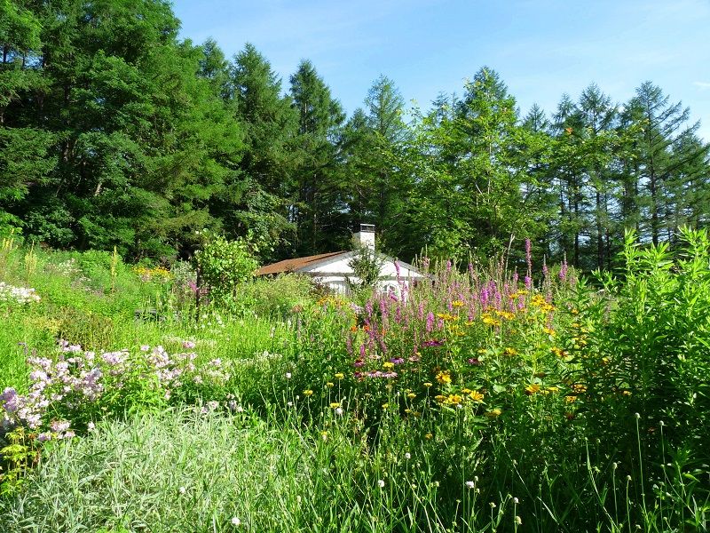 Kaze no Garden (Windy Garden)