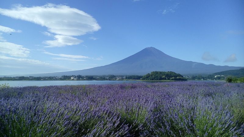 Kawaguchi-ko Natural Living Center
