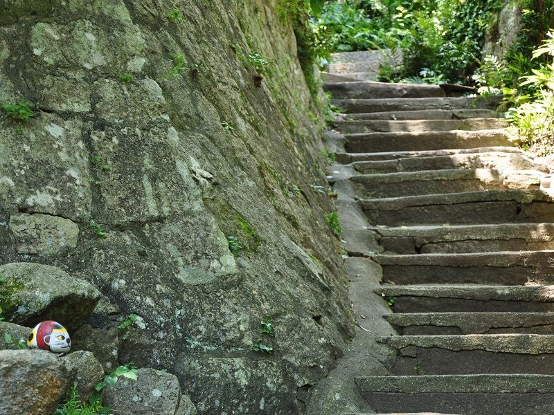 Neko no Hosomichi (Cat Alley)