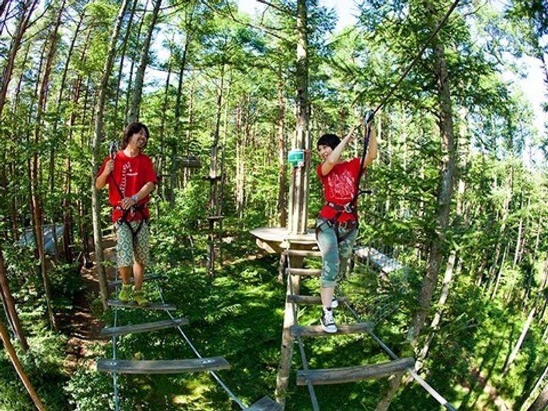 Forest Adventure・絲島