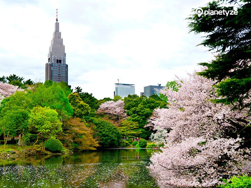 Shinjuku Gyoen National Garden