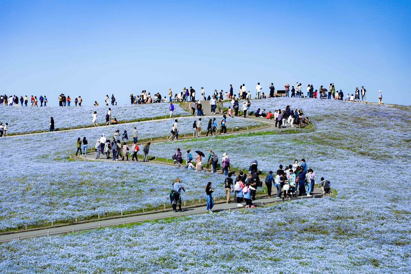 Hitachi Seaside Park