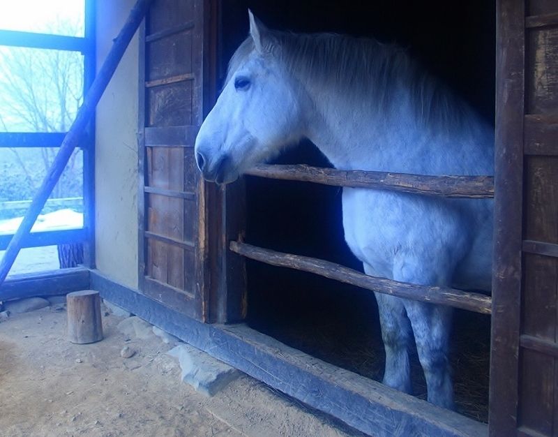 遠野ふるさと村