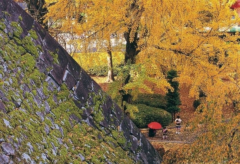 Morioka Castle Ruins Park (Iwate Park) 