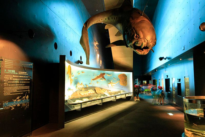 アクアマリンふくしま