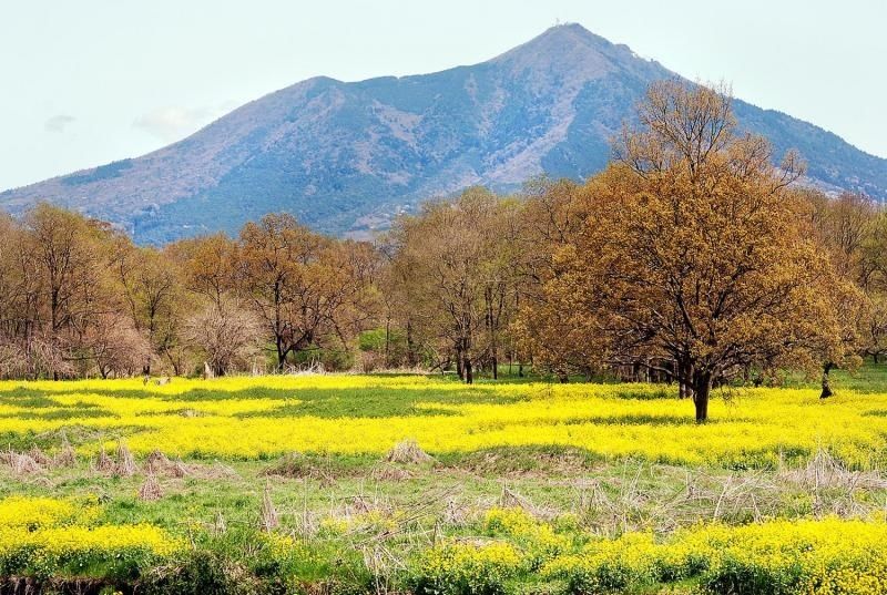 Mt. Tsukuba