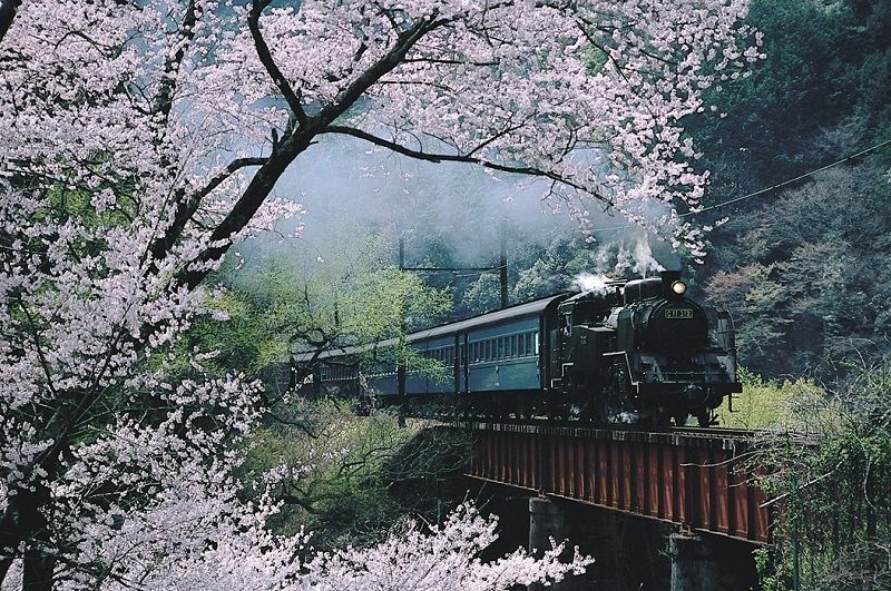 Oigawa Railway