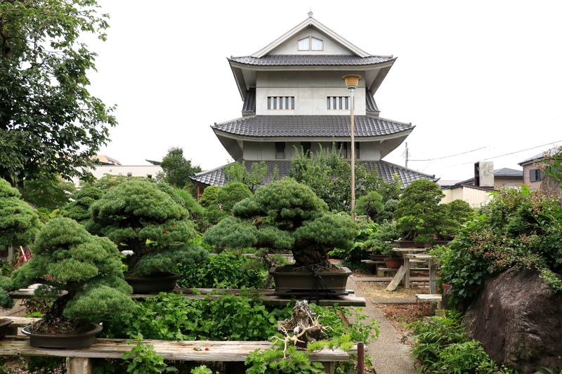 Bonsai Village