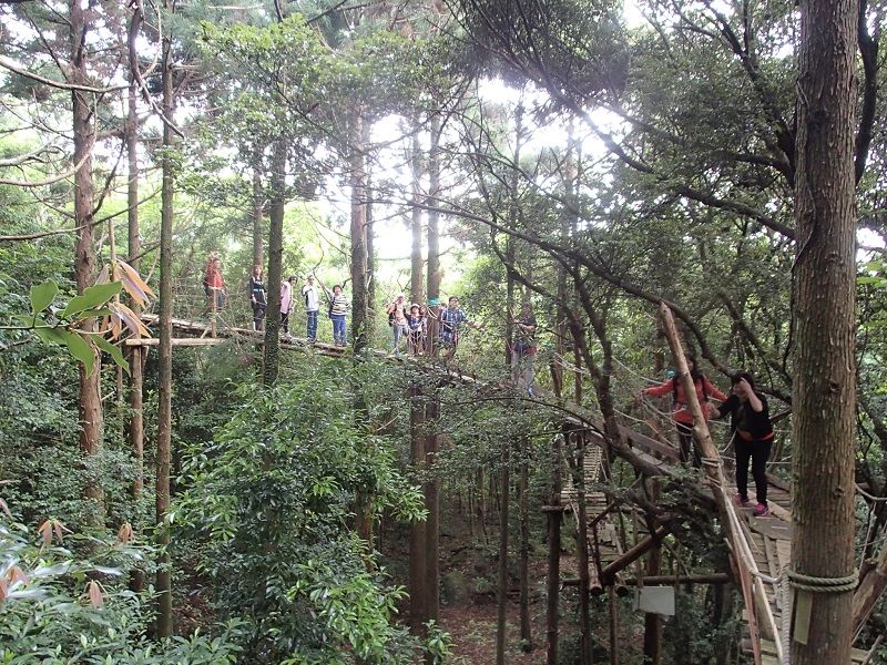 Kozue Kairo Canopy Walk