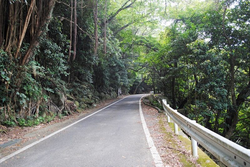 Seibu Rindo Forest Path