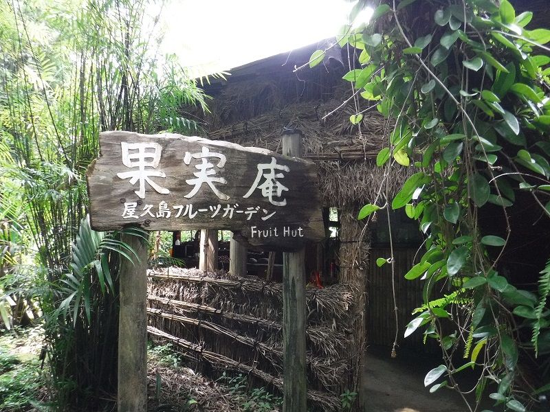 Yakushima Fruit Garden