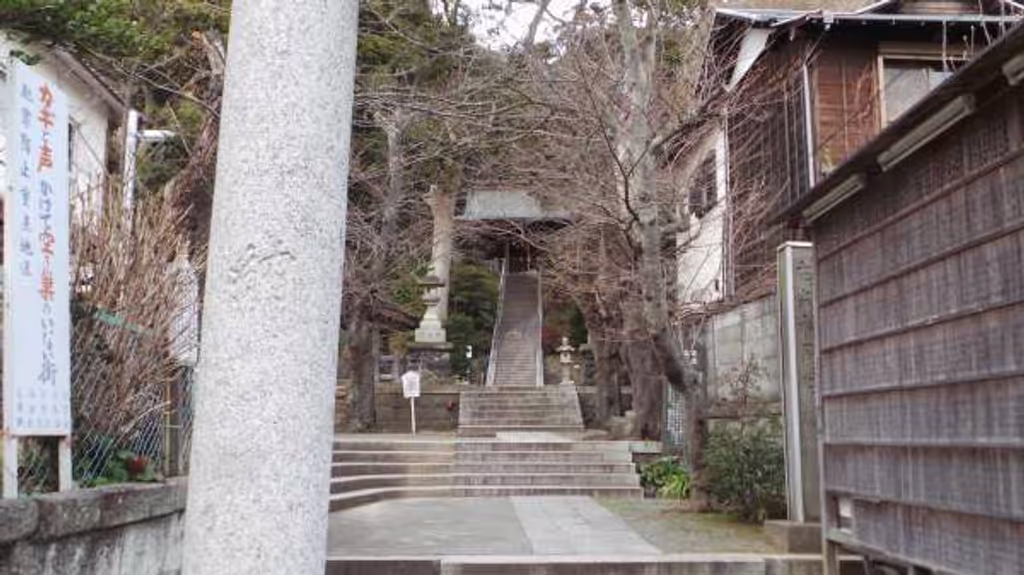 blog image