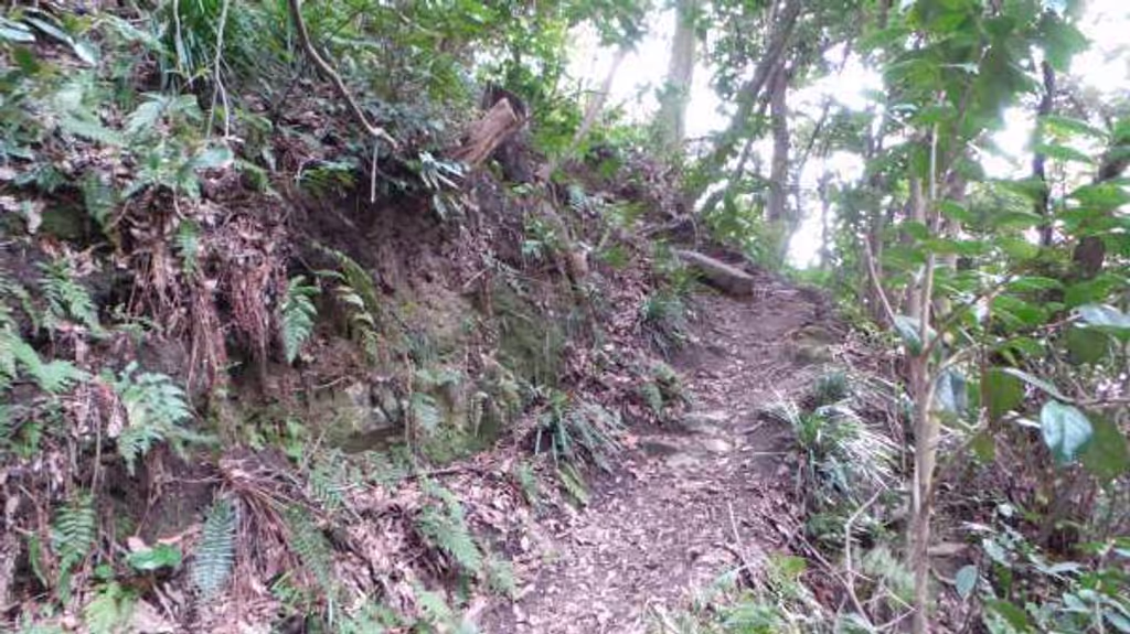 blog image