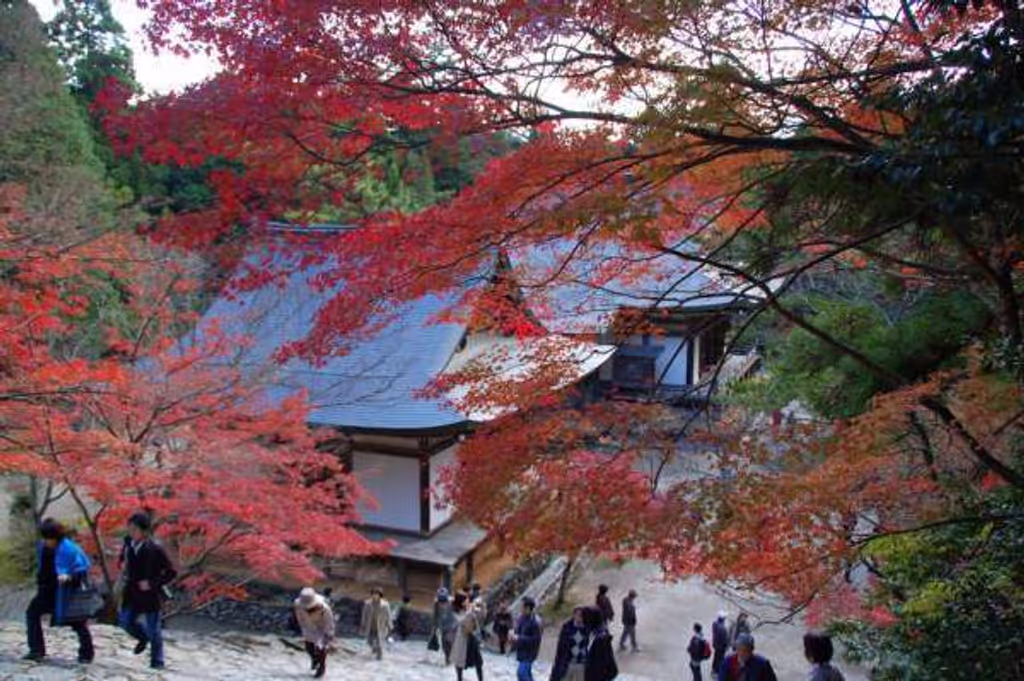 blog image