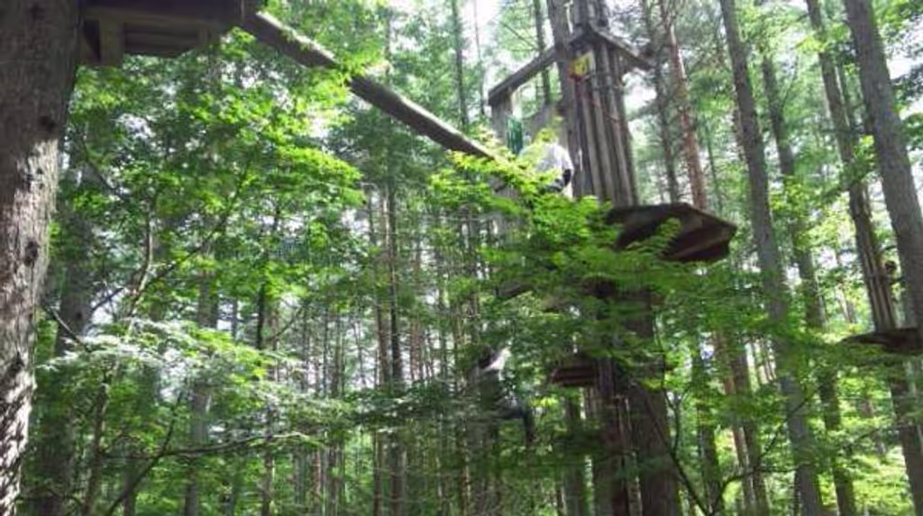 blog image