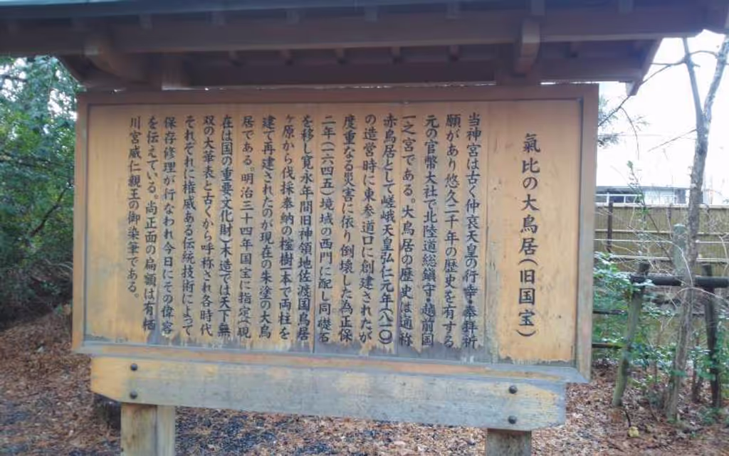 blog image