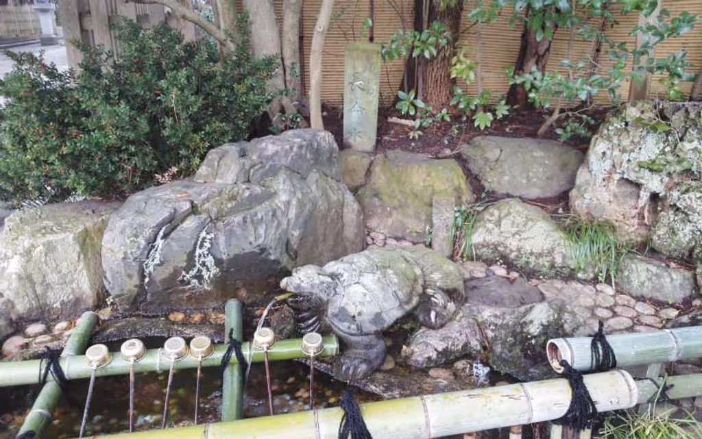 blog image