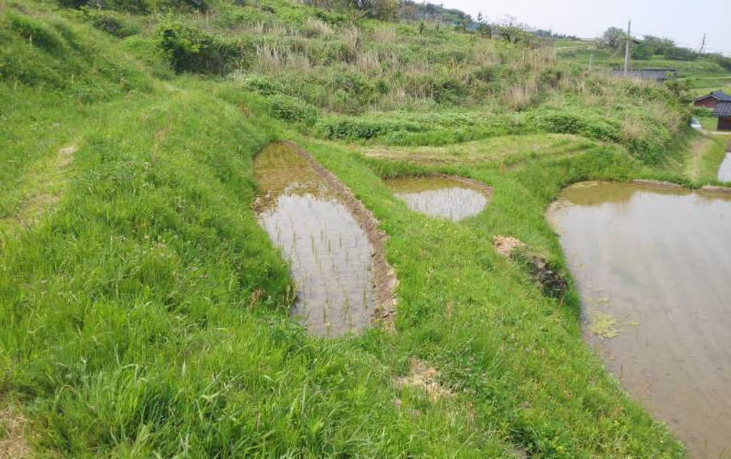 blog image