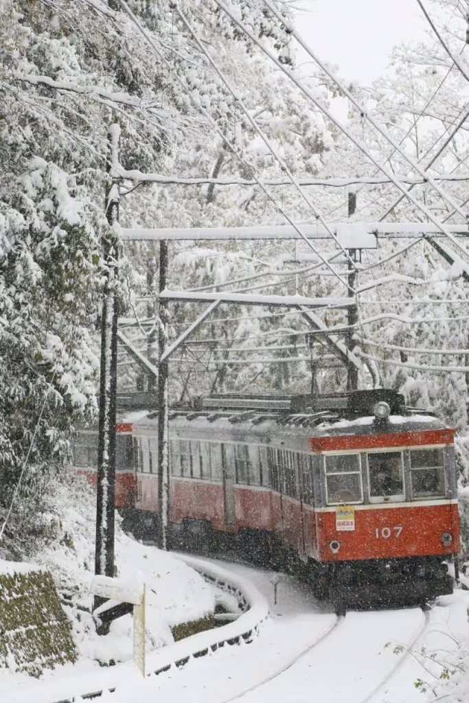blog image
