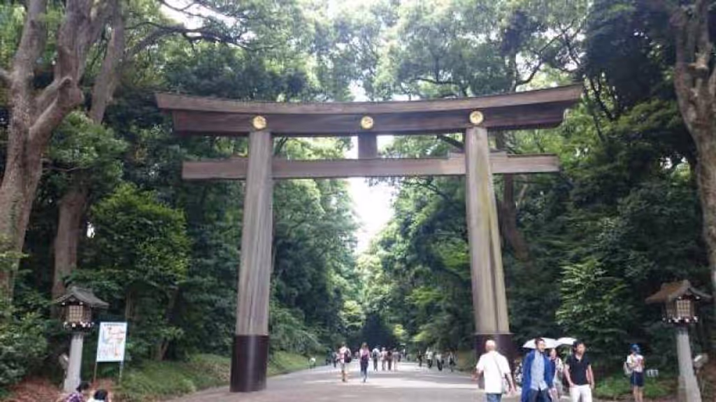 blog image