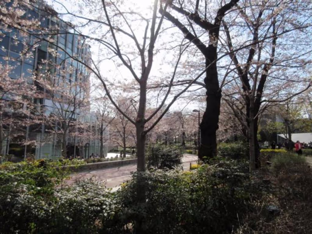 blog image