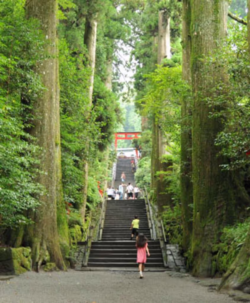 blog image