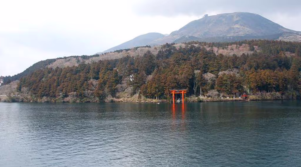 blog image