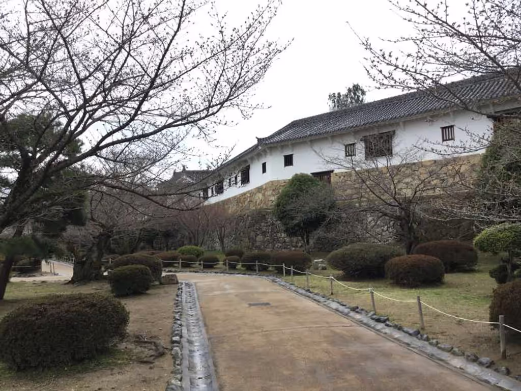 blog image
