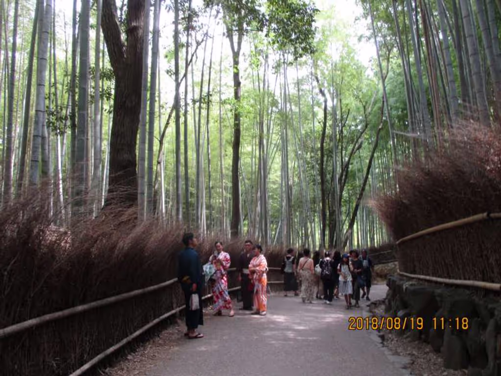 blog image