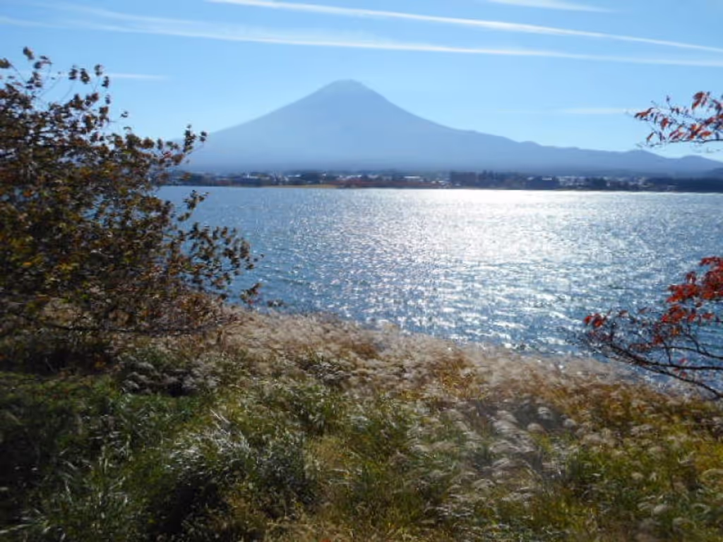 blog image