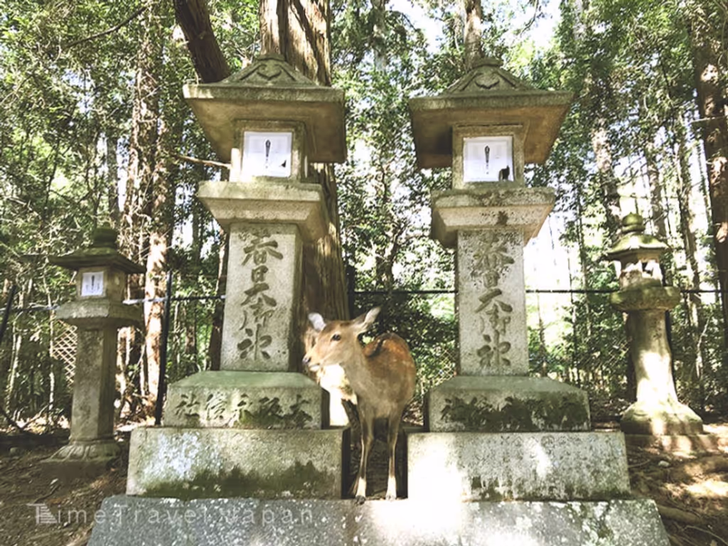 blog image