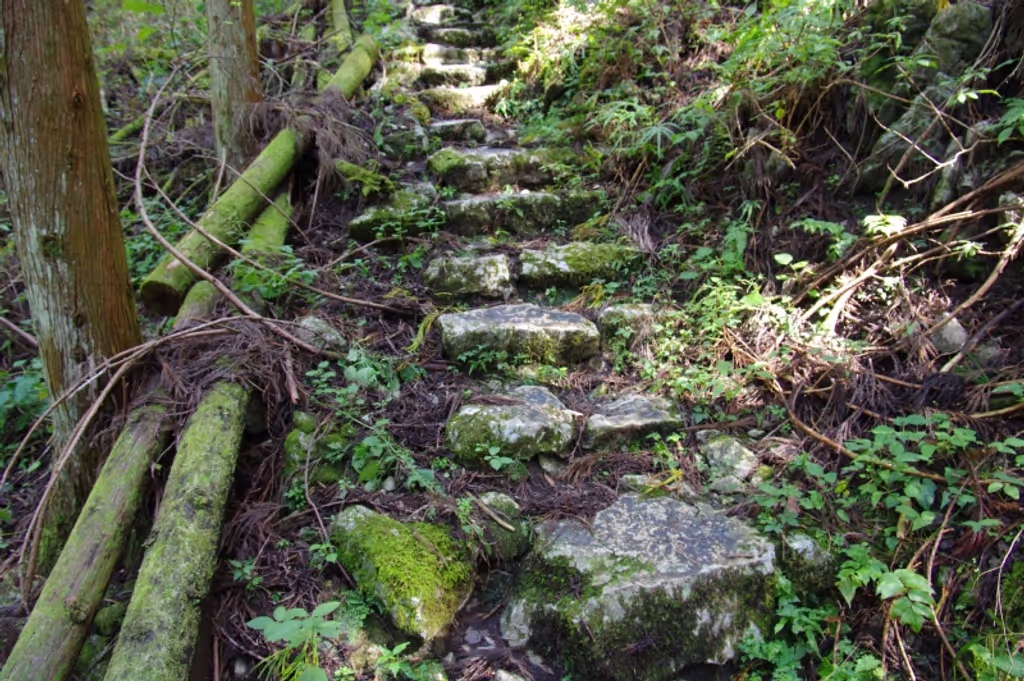 blog image