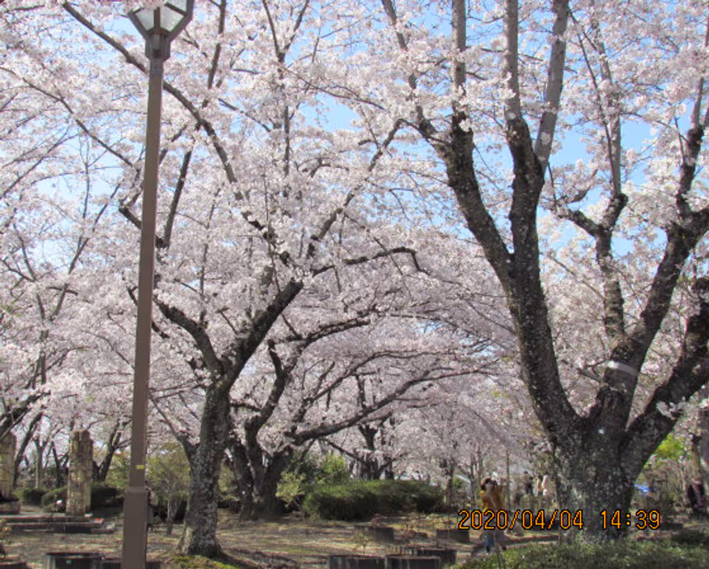 blog image