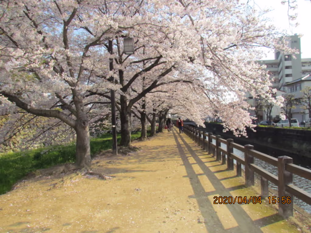blog image