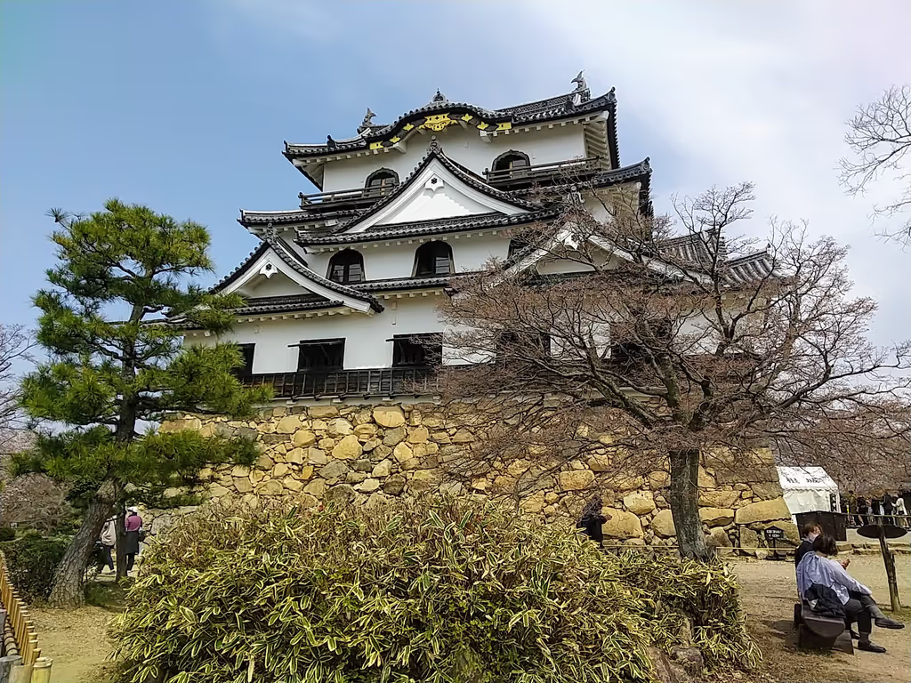 blog image