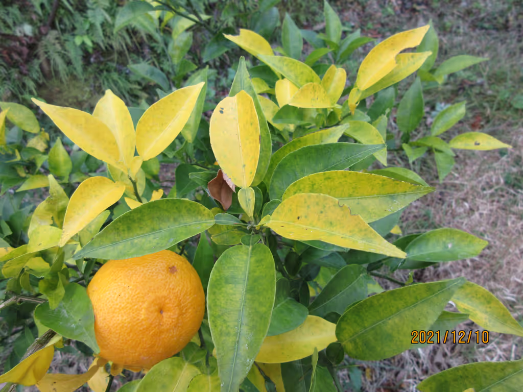 blog image