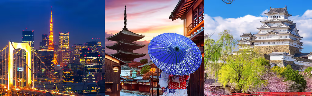 GoWithGuide Japan Private Tours